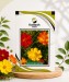 Cosmos Bright - Image 1